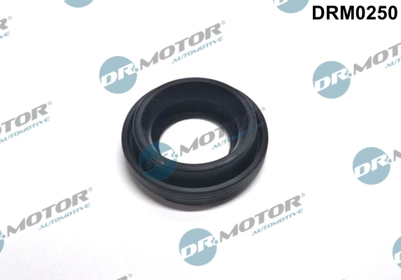 Seal, injector holder